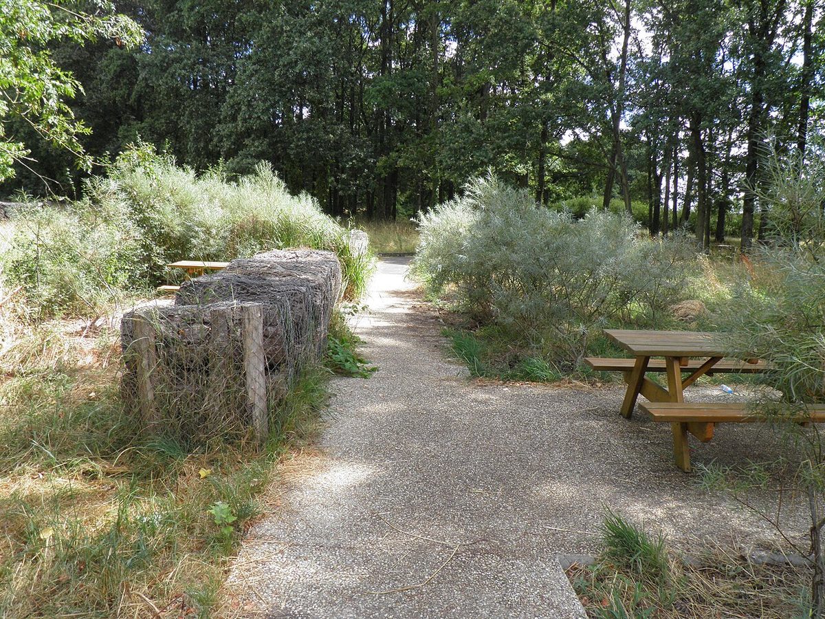Tables de pique-nique à l’ombre sur une aire de repos boisée