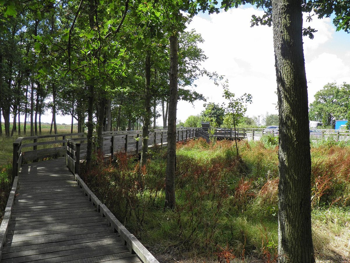 Table de pique-nique au milieu des arbres sur une aire de repos